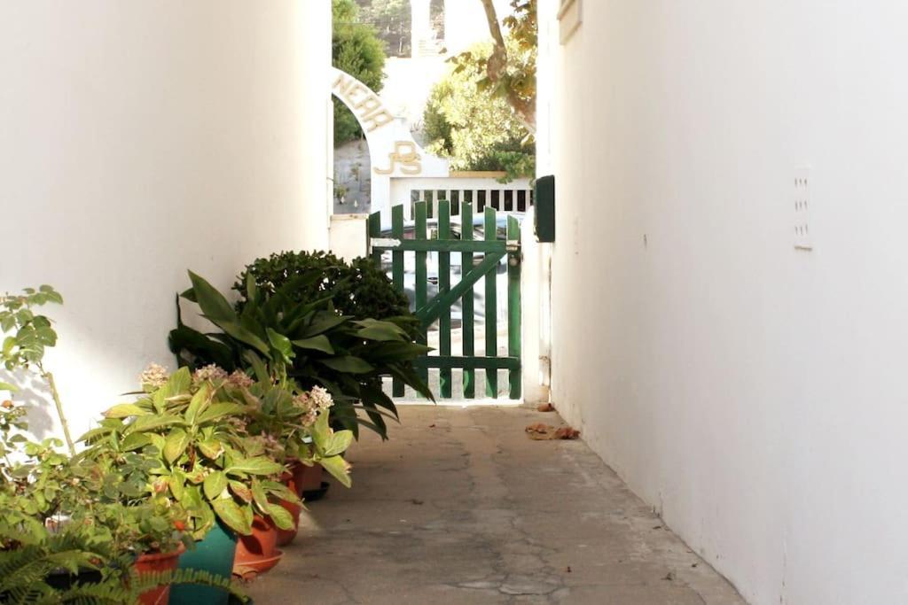 The Green Gate Patio House Nazaré Dış mekan fotoğraf